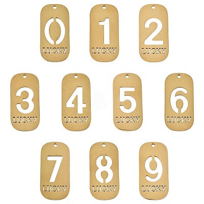 10Pcs 10 Styles 304 Stainless Steel Pendants STAS-FS0002-17G-1