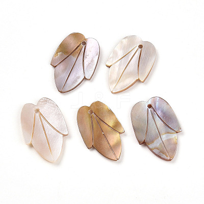 Natural Freshwater Shell Carved Pendants SHEL-N036-19-1