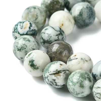 Natural Tree Agate Round Gemstone Beads Strands G-R255-10mm-1