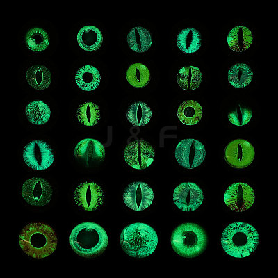 60Pcs 30 Style Luminous Glass Eyes Cabochons GLAA-CA0001-56-1