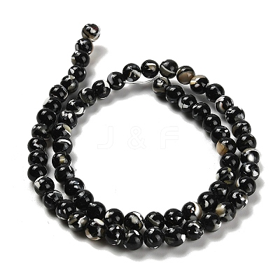 Assembled Synthetic Stone and Trochus Shell Beads Strands G-B128-08B-04-1