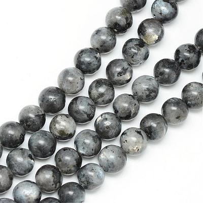 Natural Larvikite Beads Strands G-R345-8mm-33-1