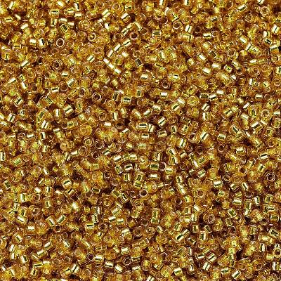 MIYUKI Delica Beads X-SEED-J020-DB2157-1