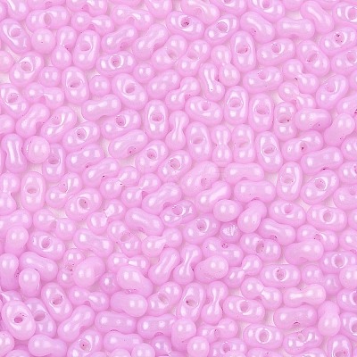 Baking Paint Glass Seed Beads SEED-L011-09A-10-1