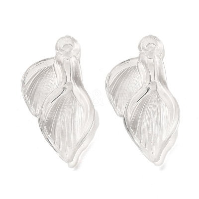Transparent Acrylic Pendants TACR-G048-04C-1