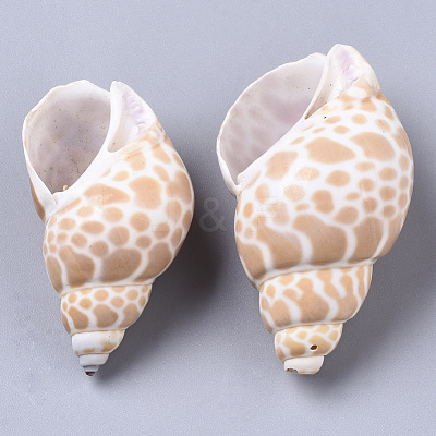 Natural Spiral Shell Beads SSHEL-N035-01-1