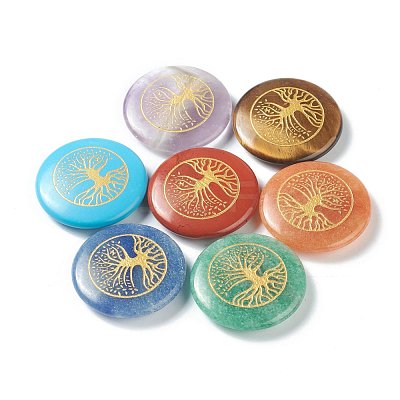 Chakra Beginners Kit G-G973-09A-1