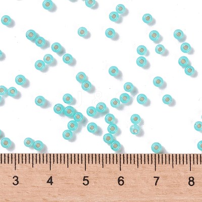 MIYUKI Round Rocailles Beads X-SEED-G008-RR0571-1