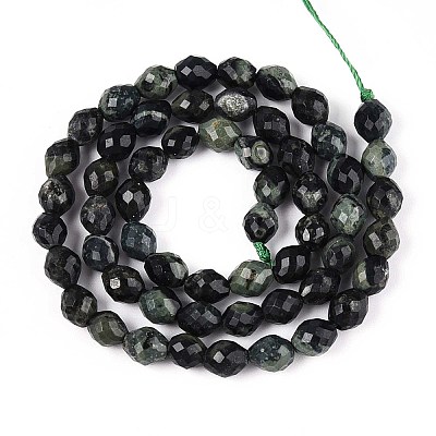 Natural Kambaba Jasper Beads Strands G-T142-86-1