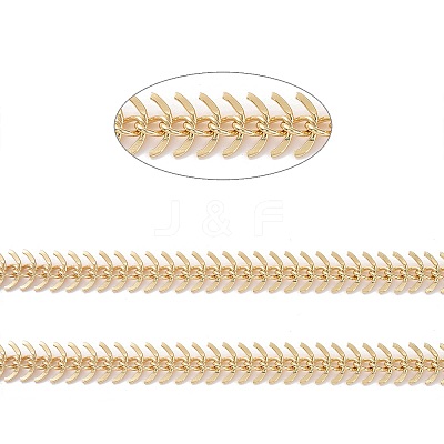 Brass Fishbone Chain CHC-E027-01G-02-1