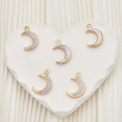 10Pcs Natural Freshwater Shell Pendants SHEL-SZ0001-05-1