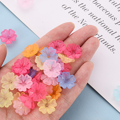 Transparent Frosted Acrylic Bead Caps MACR-S371-04A-1