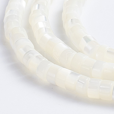 Natural Trochid Shell/Trochus Shell Beads Strands X-SSHEL-L016-13A-1