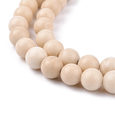 Natural Fossil Beads Strands G-E110-6mm-2-1