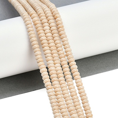 Natural Fossil Beads Strands G-K343-C24-01-1
