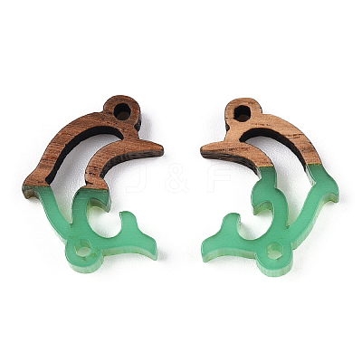 Opaque Resin & Walnut Wood Connector Charms RESI-N039-46E-1