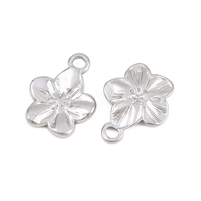 304 Stainless Steel Charms STAS-L317-02P-1