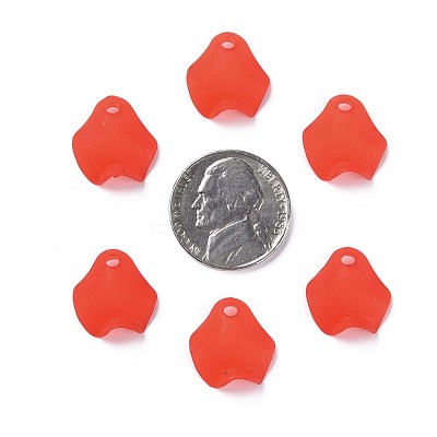 Transparent Acrylic Beads MACR-S373-106-D01-1