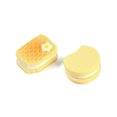Resin Cabochons RESI-H166-12-1