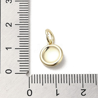 Brass Enamel Charms KK-E092-13G-03-1