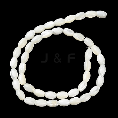 Natural Trochus Shell Beads Strands BSHE-E030-02B-1