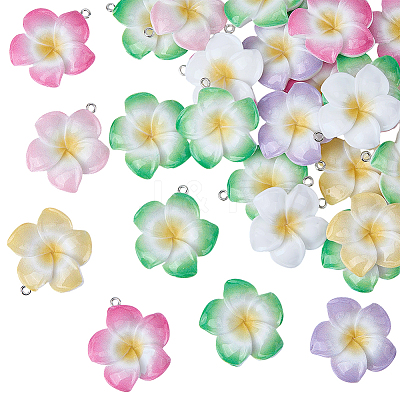 30Pcs Opaque Resin Pendants RESI-BM0001-01-1