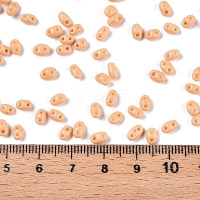 Baking Paint Glass Seed Beads SEED-T006-03E-1