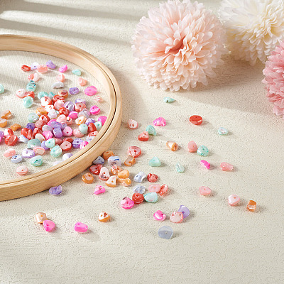 280Pcs 7 Colors Natural Freshwater Shell Beads SHEL-FW0001-02-1