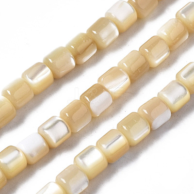 Natural Trochid Shell/Trochus Shell Beads Strands SSHEL-N034-77-B01-1