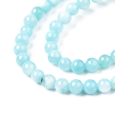 Natural Freshwater Shell Beads Strands X-BSHE-T009A-01E-1