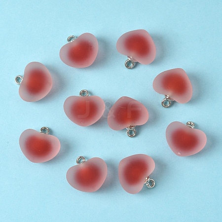 10Pcs Frosted Resin Pendants RESI-YW0004-45C-1