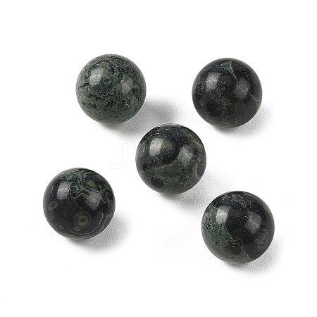 Natural Kambaba Jasper Sphere Beads GG-D003-A20-1