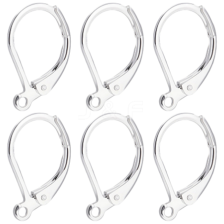 100Pcs 316L Surgical Stainless Steel Leverback Earring Findings STAS-BBC0010-61S-1