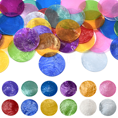 48Pcs 12 Colors Natural Shell Connector Charms SHEL-SC0001-72-1