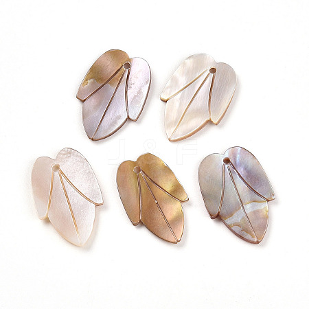 Natural Freshwater Shell Carved Pendants SHEL-N036-19-1