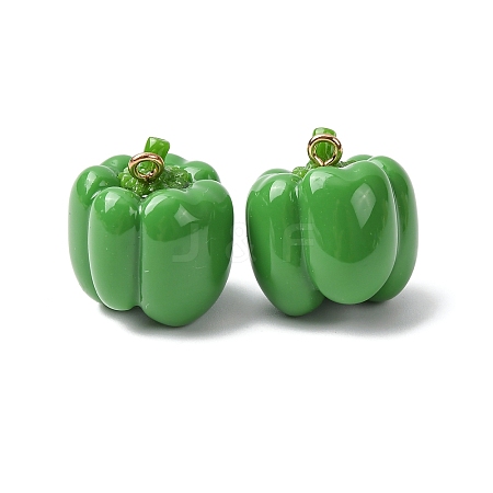 Imitation Vegetable Resin Pendants LS-RESI-K033-03A-02-1