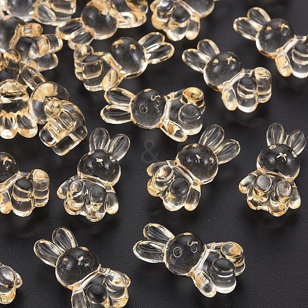 Transparent Acrylic Beads LS-MACR-S373-81-B04-1