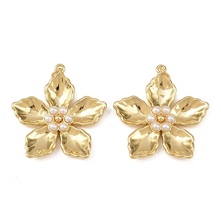 Brass Pendants KK-L255-23G-01-1