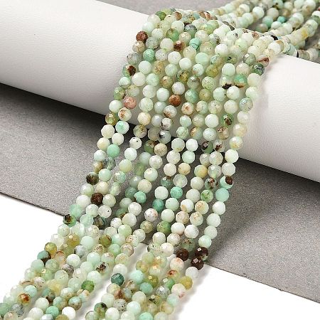 Natural Serpentine Beads Strands G-B107-A05-03-1