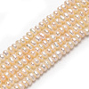Natural Cultured Freshwater Pearl Beads Strands PEAR-L003-B-03-1