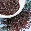 MIYUKI Round Rocailles Beads X-SEED-G007-RR2461-1
