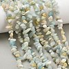 Natural Flower Amazonite Chips Beads Strands X-G-M205-12B-9