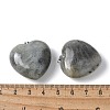 Natural Labradorite Pendants G-A259-02P-02-3