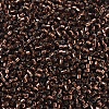 MIYUKI Delica Beads X-SEED-J020-DB0150-3