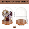 Glass Dome Cover AJEW-WH0314-446C-2