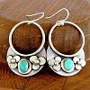 Alloy Enamel Dangle Earrings FS-WG6E131-15-1