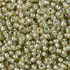MIYUKI Round Rocailles Beads SEED-X0055-RR0359-3
