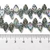 Electroplate Glass Beads Strands EGLA-B004-02A-FR03-4