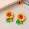 Opaque Resin Cabochons PW-WG2B15B-05-1