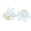 Heat Shrink Acrylic Bead Caps OACR-N155-04A-2
